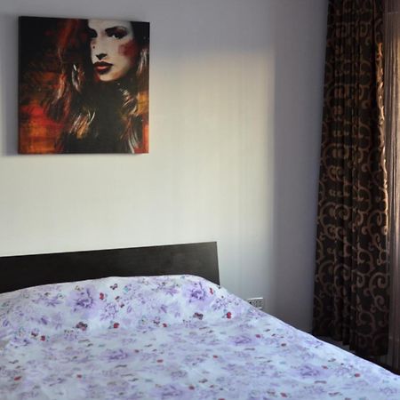 Vila Cu Trandafiri Cozy Apartments 2 Camere Bragadiru 外观 照片