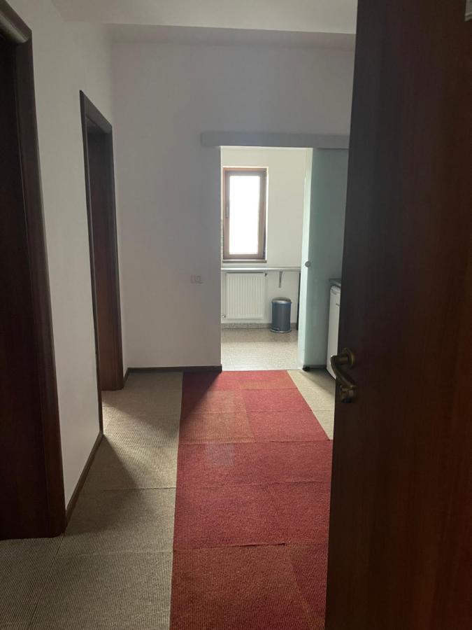 Vila Cu Trandafiri Cozy Apartments 2 Camere Bragadiru 外观 照片