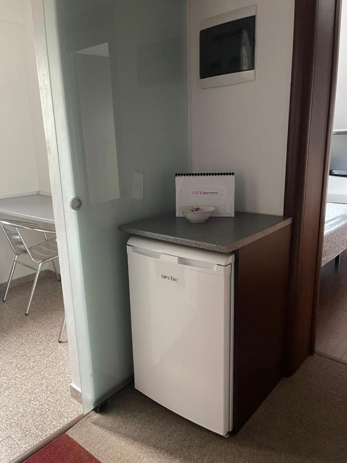 Vila Cu Trandafiri Cozy Apartments 2 Camere Bragadiru 外观 照片