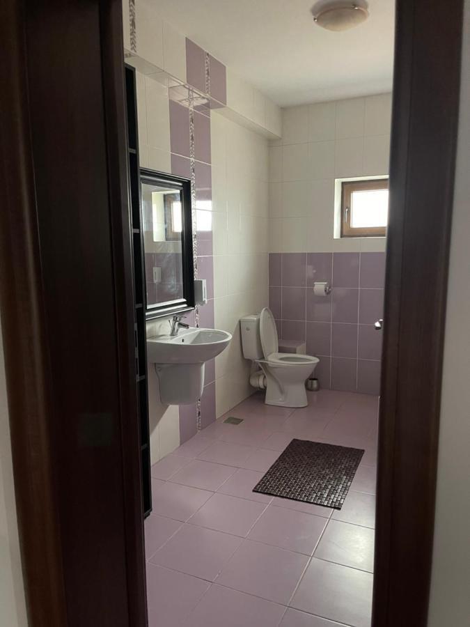 Vila Cu Trandafiri Cozy Apartments 2 Camere Bragadiru 外观 照片