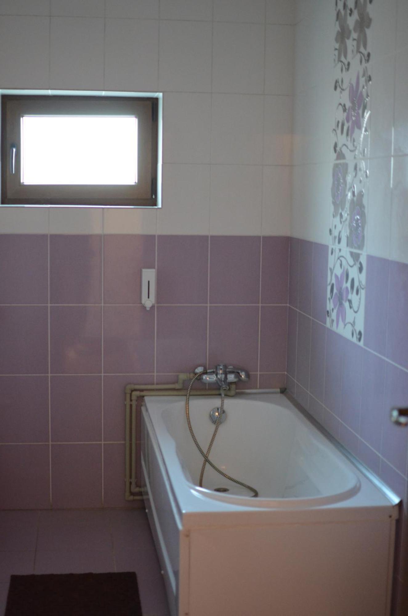 Vila Cu Trandafiri Cozy Apartments 2 Camere Bragadiru 外观 照片